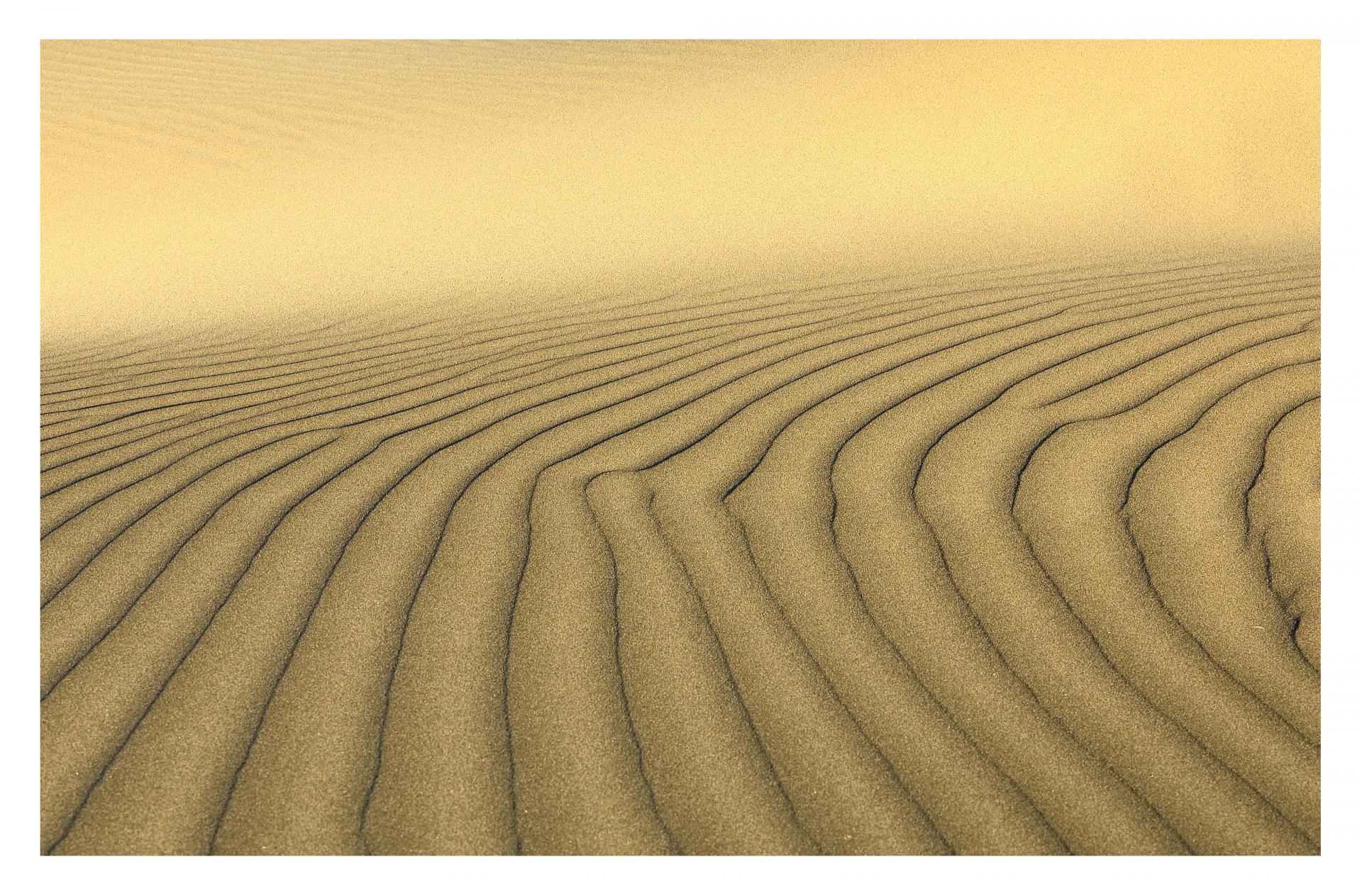 Les dunes de L'Epiguette